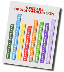 introduction to the 8 pillars of transformation sampler
